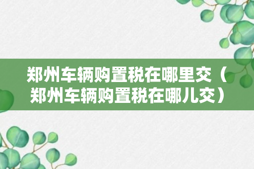 郑州车辆购置税在哪里交（郑州车辆购置税在哪儿交）