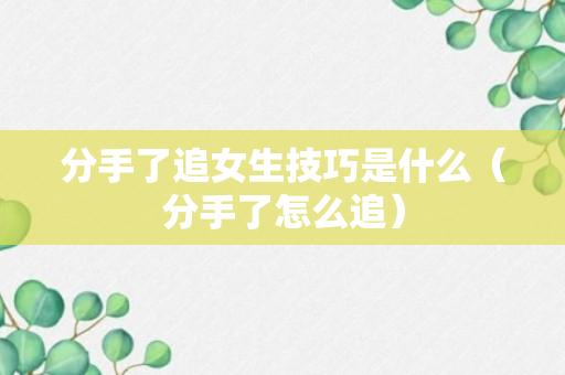 分手了追女生技巧是什么（分手了怎么追）