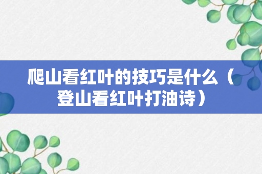 爬山看红叶的技巧是什么（登山看红叶打油诗）