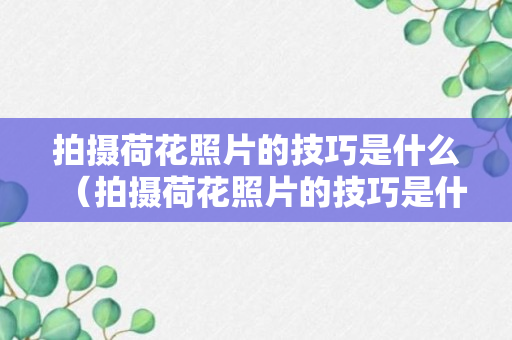 拍摄荷花照片的技巧是什么（拍摄荷花照片的技巧是什么意思）