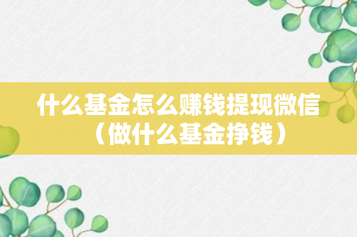 什么基金怎么赚钱提现微信（做什么基金挣钱）