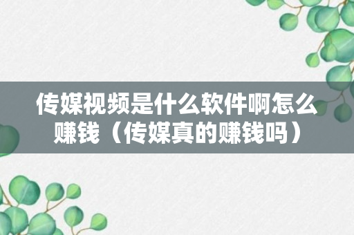 传媒视频是什么软件啊怎么赚钱（传媒真的赚钱吗）