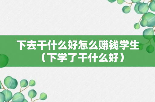 下去干什么好怎么赚钱学生（下学了干什么好）