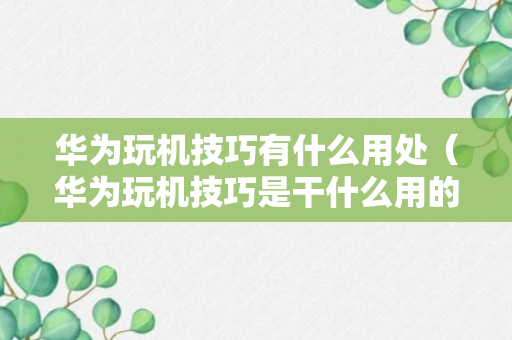 华为玩机技巧有什么用处（华为玩机技巧是干什么用的）