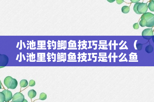 小池里钓鲫鱼技巧是什么（小池里钓鲫鱼技巧是什么鱼）