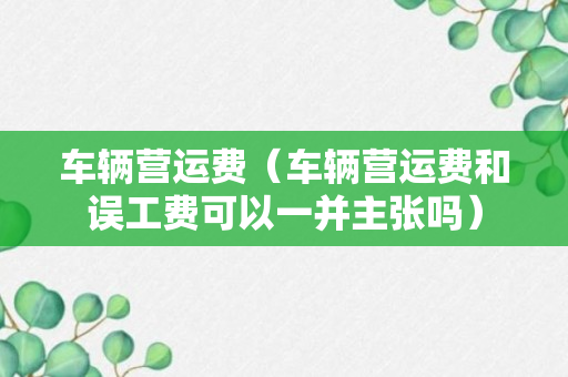 车辆营运费（车辆营运费和误工费可以一并主张吗）