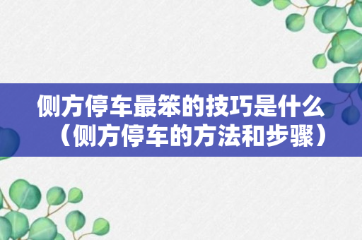 侧方停车最笨的技巧是什么（侧方停车的方法和步骤）