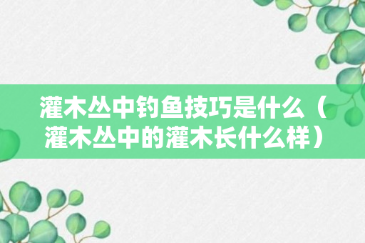 灌木丛中钓鱼技巧是什么（灌木丛中的灌木长什么样）