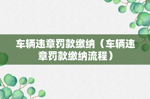 车辆违章罚款缴纳（车辆违章罚款缴纳流程）