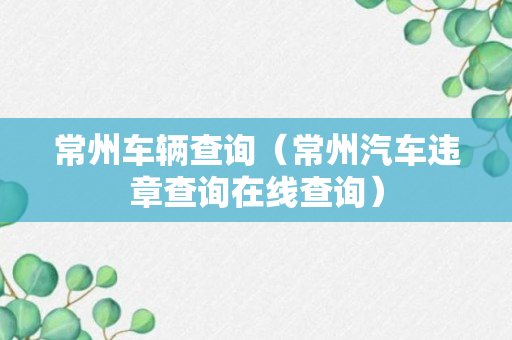 常州车辆查询（常州汽车违章查询在线查询）