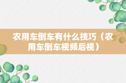 农用车倒车有什么技巧（农用车倒车视频后视）