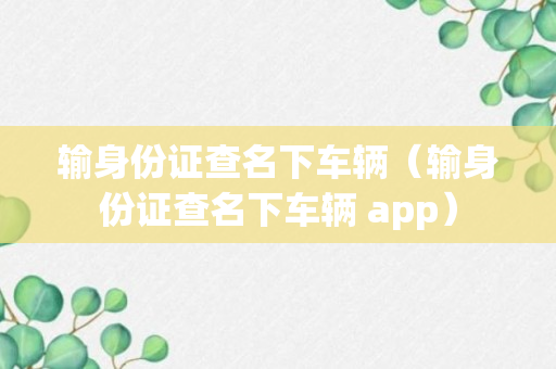 输身份证查名下车辆（输身份证查名下车辆 app）