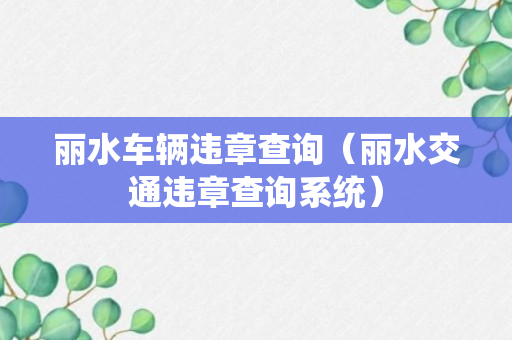 丽水车辆违章查询（丽水交通违章查询系统）