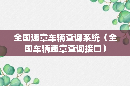 全国违章车辆查询系统（全国车辆违章查询接口）