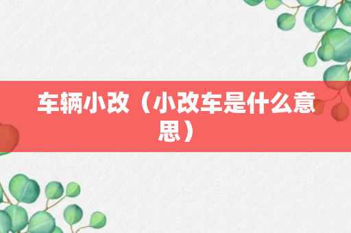 车辆小改（小改车是什么意思）