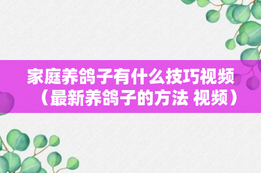 家庭养鸽子有什么技巧视频（最新养鸽子的方法 视频）