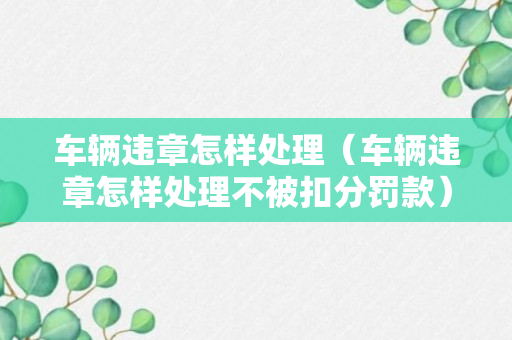 车辆违章怎样处理（车辆违章怎样处理不被扣分罚款）