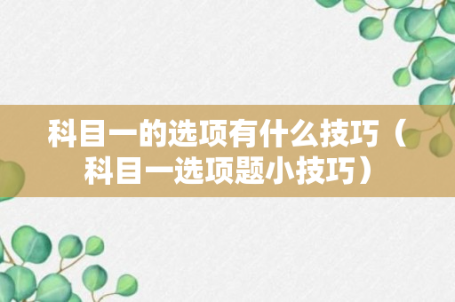 科目一的选项有什么技巧（科目一选项题小技巧）