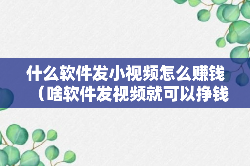 什么软件发小视频怎么赚钱（啥软件发视频就可以挣钱）