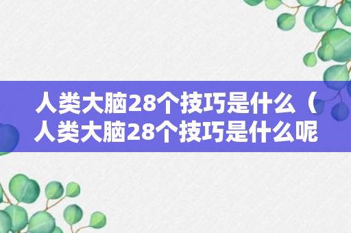 人类大脑28个技巧是什么（人类大脑28个技巧是什么呢）