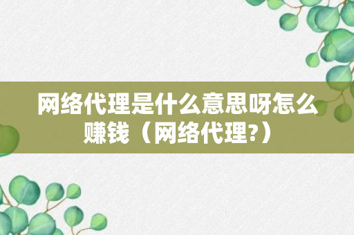 网络代理是什么意思呀怎么赚钱（网络代理?）