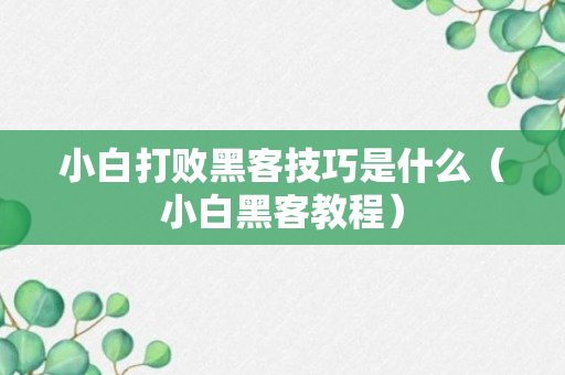 小白打败黑客技巧是什么（小白黑客教程）