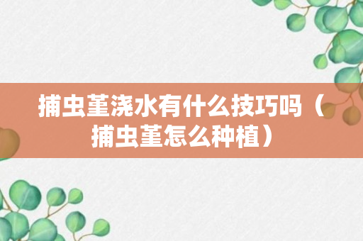 捕虫堇浇水有什么技巧吗（捕虫堇怎么种植）