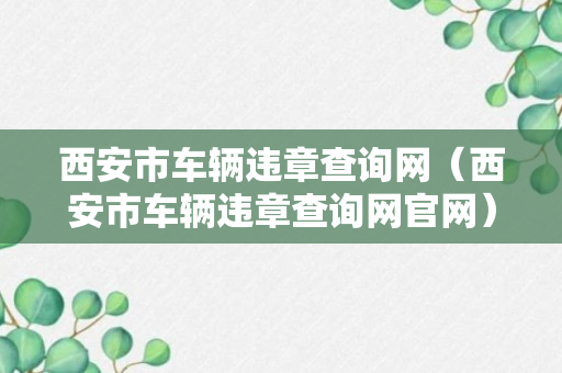 西安市车辆违章查询网（西安市车辆违章查询网官网）