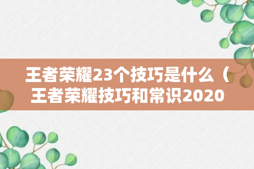 王者荣耀23个技巧是什么（王者荣耀技巧和常识2020）