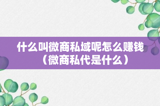 什么叫微商私域呢怎么赚钱（微商私代是什么）