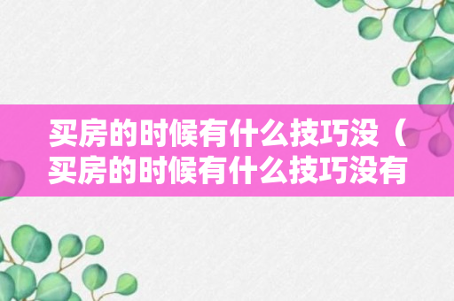 买房的时候有什么技巧没（买房的时候有什么技巧没有房本）