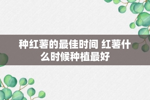 种红薯的最佳时间 红薯什么时候种植最好