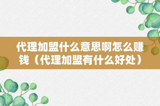 代理加盟什么意思啊怎么赚钱（代理加盟有什么好处）