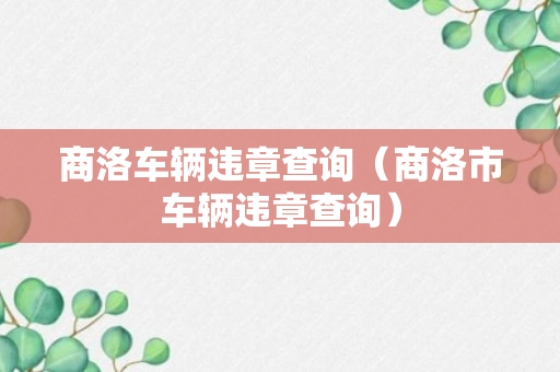 商洛车辆违章查询（商洛市车辆违章查询）