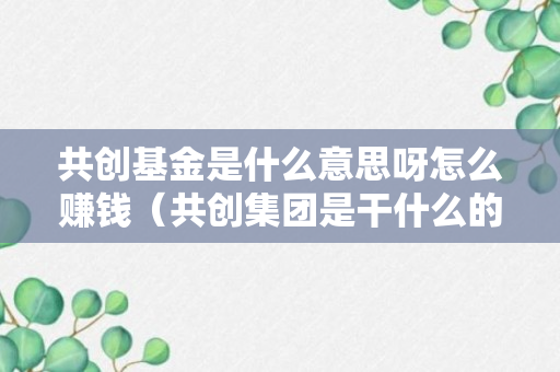 共创基金是什么意思呀怎么赚钱（共创集团是干什么的）