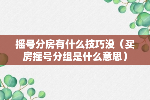 摇号分房有什么技巧没（买房摇号分组是什么意思）