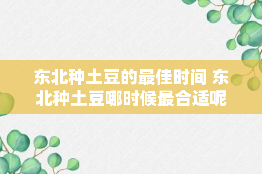 东北种土豆的最佳时间 东北种土豆哪时候最合适呢