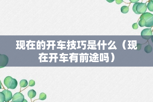 现在的开车技巧是什么（现在开车有前途吗）