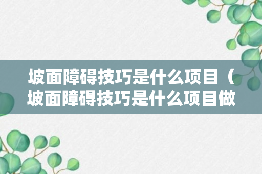 坡面障碍技巧是什么项目（坡面障碍技巧是什么项目做的）