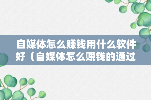 自媒体怎么赚钱用什么软件好（自媒体怎么赚钱的通过什么平台赚钱）