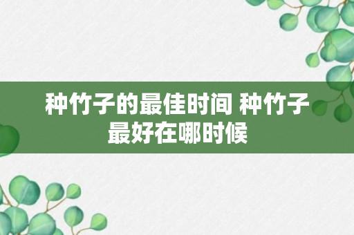 种竹子的最佳时间 种竹子最好在哪时候