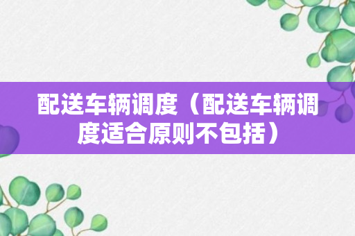 配送车辆调度（配送车辆调度适合原则不包括）