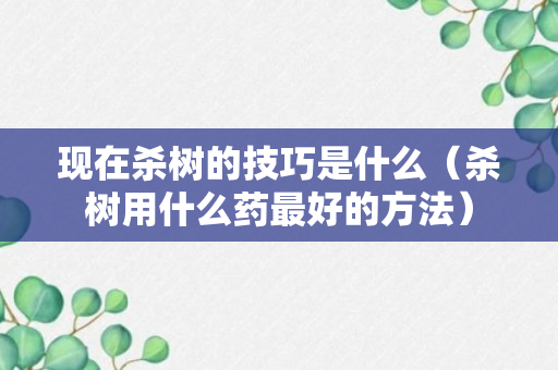 现在杀树的技巧是什么（杀树用什么药最好的方法）