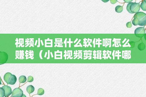 视频小白是什么软件啊怎么赚钱（小白视频剪辑软件哪个好）