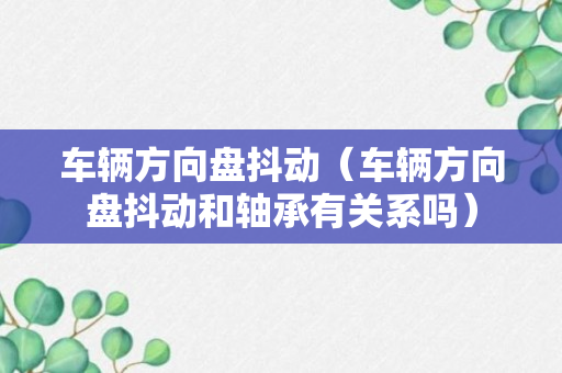 车辆方向盘抖动（车辆方向盘抖动和轴承有关系吗）