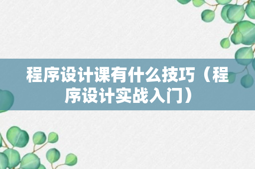 程序设计课有什么技巧（程序设计实战入门）