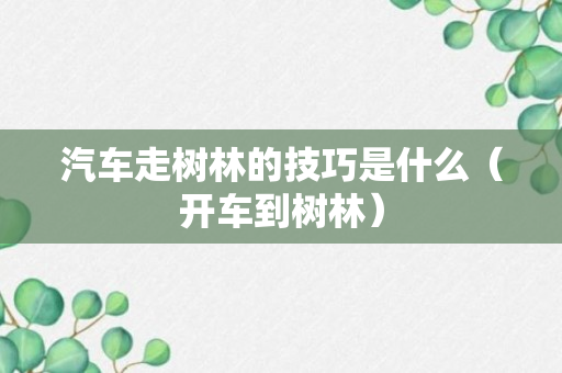 汽车走树林的技巧是什么（开车到树林）