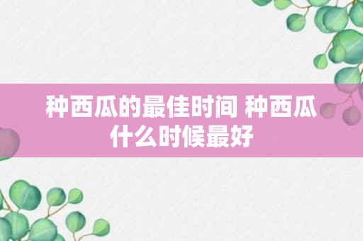 种西瓜的最佳时间 种西瓜什么时候最好