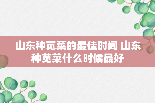 山东种苋菜的最佳时间 山东种苋菜什么时候最好