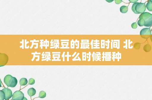 北方种绿豆的最佳时间 北方绿豆什么时候播种